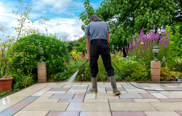 Best Driveway Pressure Washing  in Trexlertown, PA